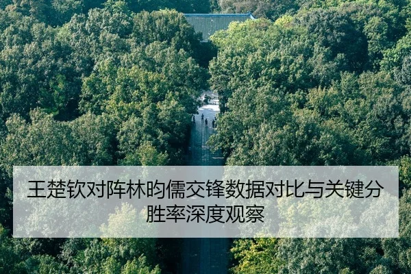 王楚钦对阵林昀儒交锋数据对比与关键分胜率深度观察